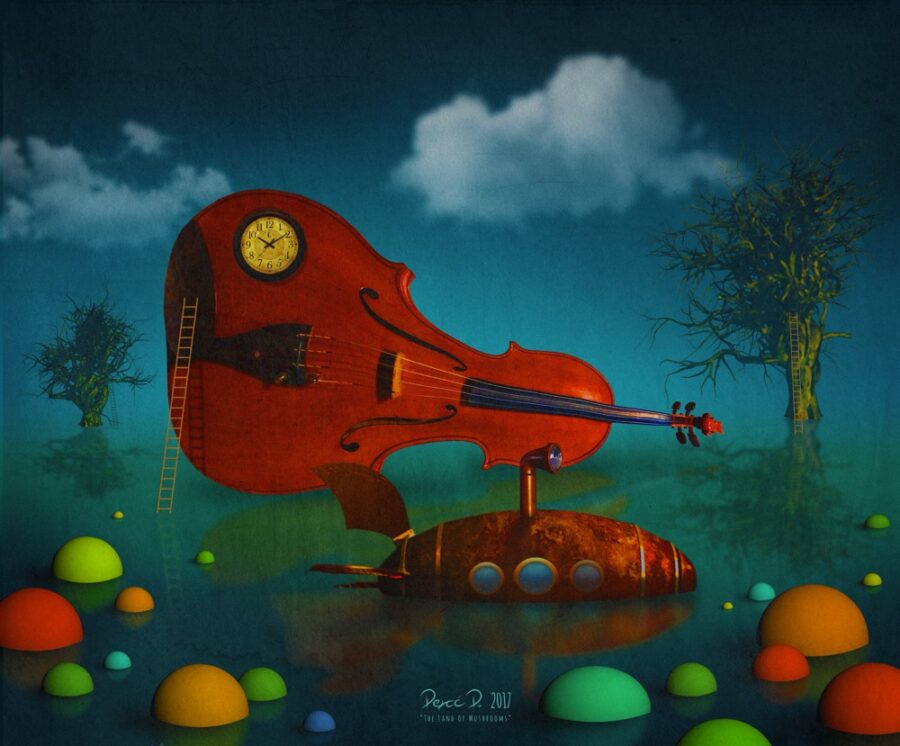 The Land of Mushrooms